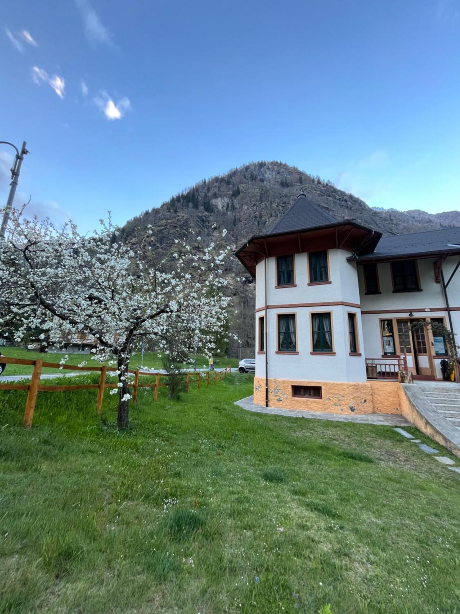 L'Aria Di Casa Bed and Breakfast Alagna Valsesia Εξωτερικό φωτογραφία