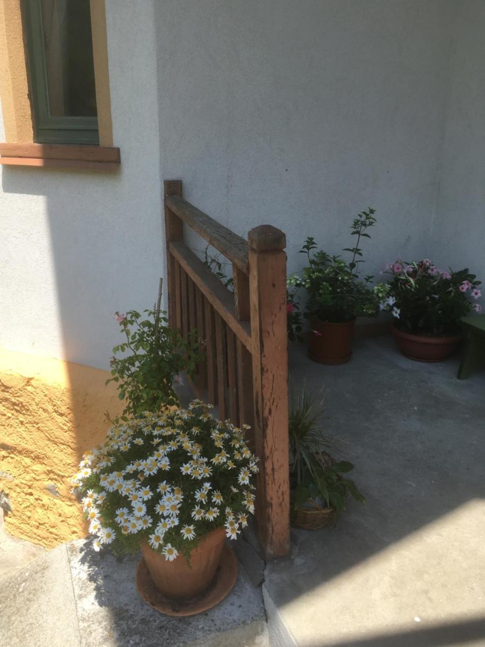 L'Aria Di Casa Bed and Breakfast Alagna Valsesia Εξωτερικό φωτογραφία
